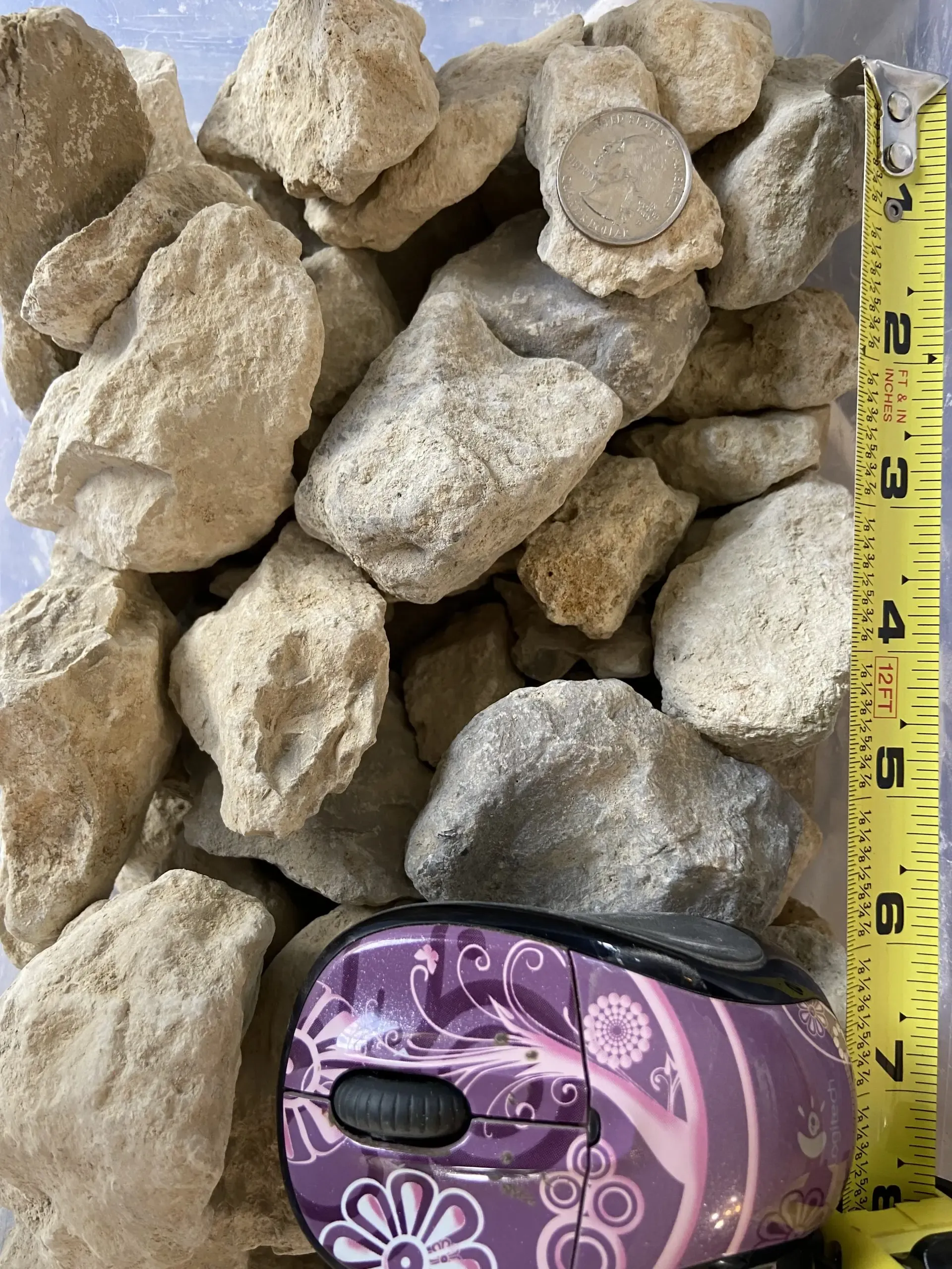 Image of one inch by four inch rock